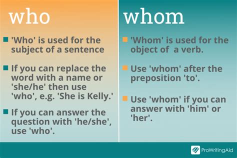 When to Use Who vs. That, with Examples .